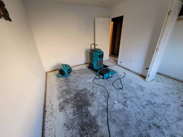 Best Flood restoration services  in Charleston, MS