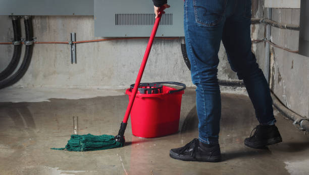 Best Local water damage restoration  in Charleston, MS