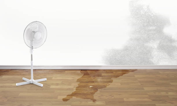 Water damage restoration experts in Charleston, MS