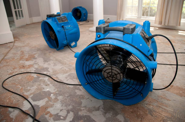 Best Professional water damage repair  in Charleston, MS
