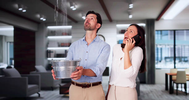 Best Sewage cleanup and water damage restoration  in Charleston, MS