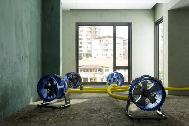 Best Residential water damage restoration  in Charleston, MS