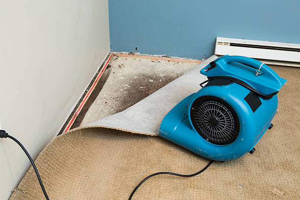 Best Local water damage restoration  in Charleston, MS